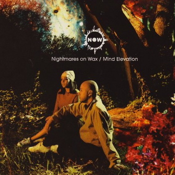 Nightmares On Wax - Say-Say